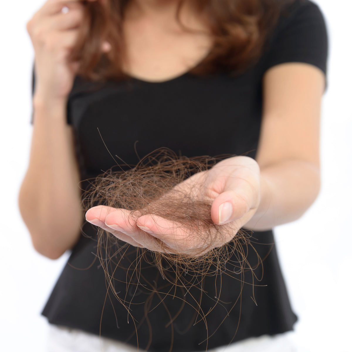 Causes Of Hair Loss In Women Causes Of Hair Loss Causes Of Hair Loss